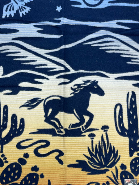 Pendleton® Desert Dreams Blanket