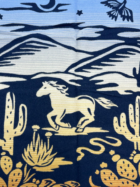 Pendleton® Desert Dreams Blanket
