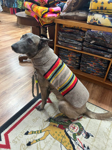 Pendleton® Yakima Camp Mineral Umber Dog Coat