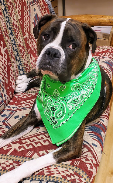 Neon Green Paisley Bandana